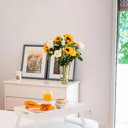 Spacious, Luxurious, And Charming In Premium Location With Parking Porto