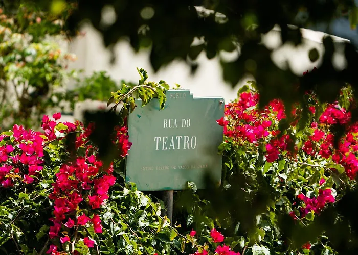 Spacious, Luxurious, And Charming In Premium Location With Parking